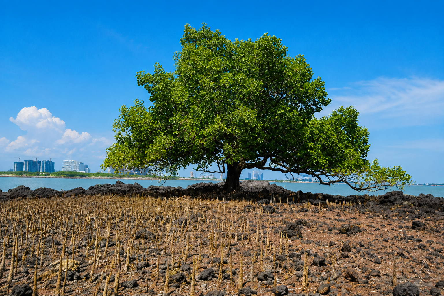 Pulau Upeh
