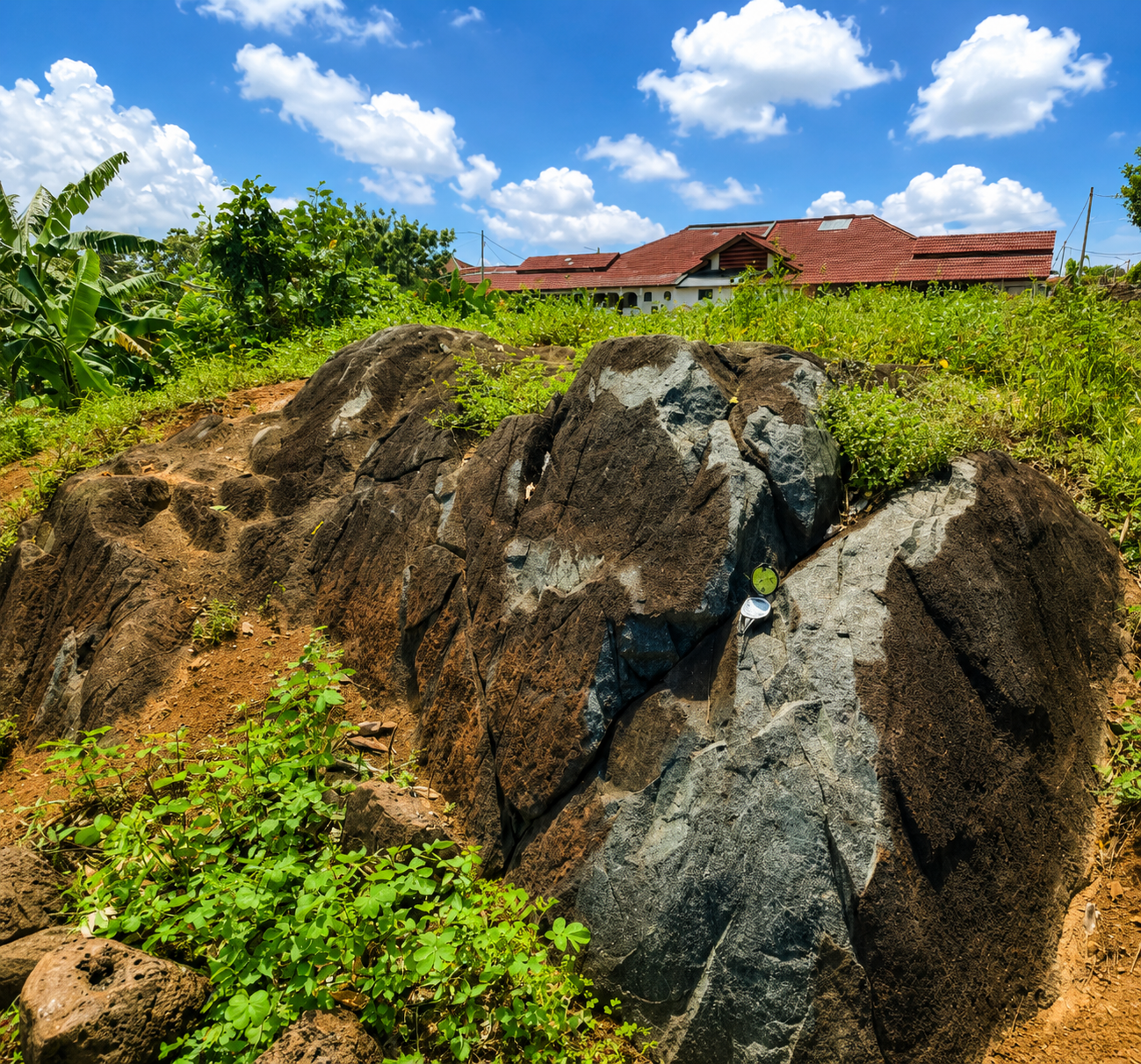 Bukit Larang Amphibole Schist